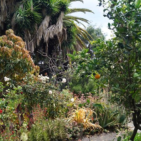 فيلا La Casita Del Jardinero لوس يانوس دي أريداني المظهر الخارجي الصورة