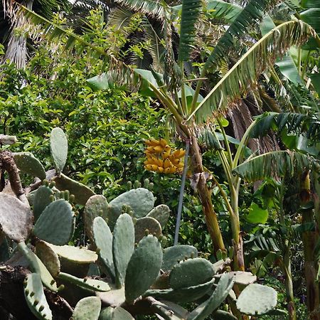 فيلا La Casita Del Jardinero لوس يانوس دي أريداني المظهر الخارجي الصورة