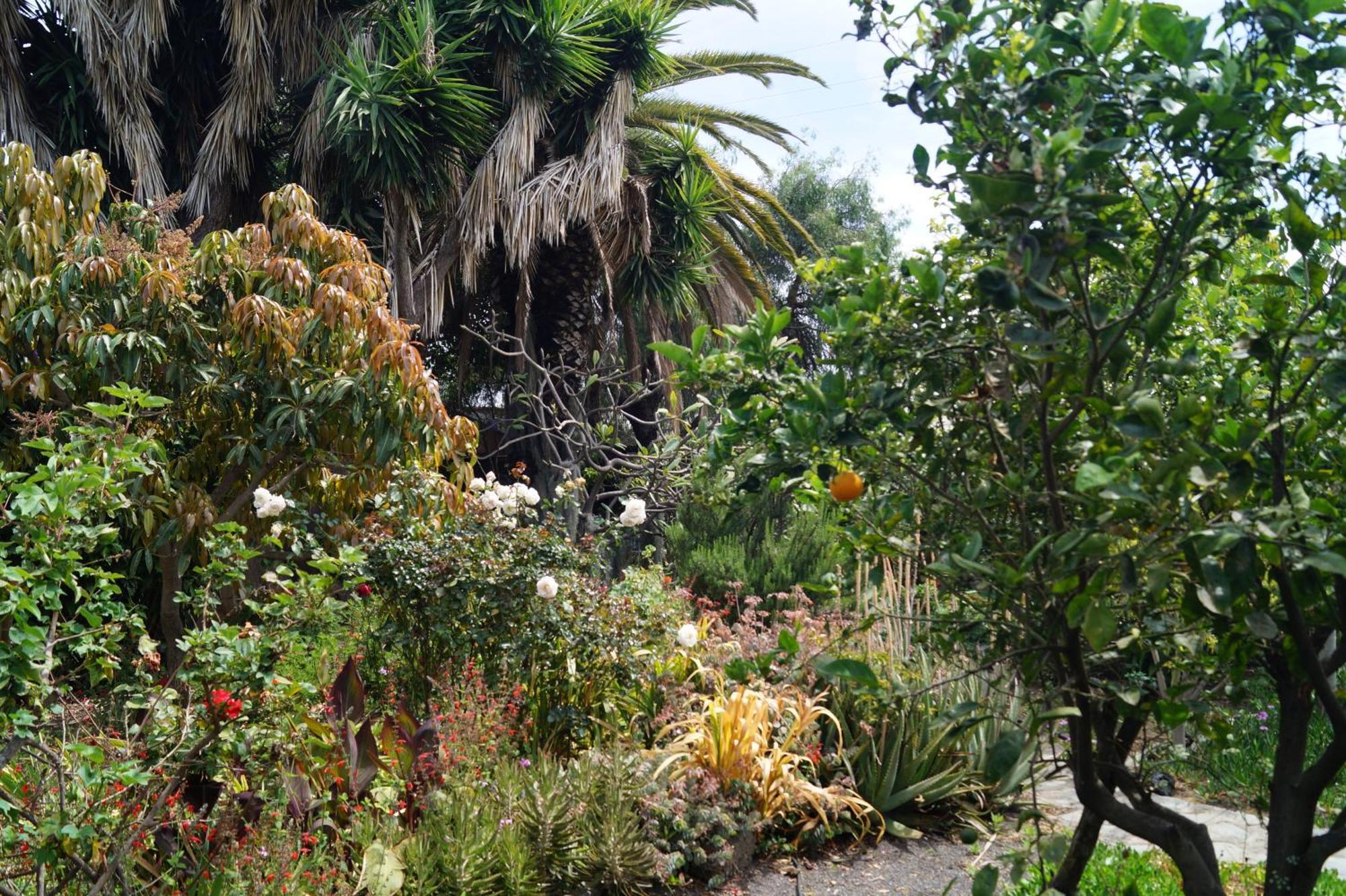 فيلا La Casita Del Jardinero لوس يانوس دي أريداني المظهر الخارجي الصورة